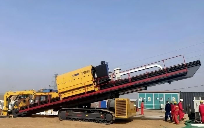 春植但愿，索求7790必发集团中国“绿色力量”！