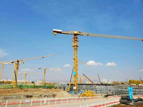 7790必发集团中国塔机助建世界屋脊最大体量会展中心